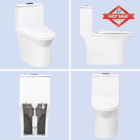 Toilettes Modernes : Ensemble WC monobloc à chasse directe pour salle de bain, cuvette de toilettes et cuvette WC