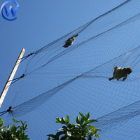 Filet à oiseaux multifilament Filet à oiseaux Filet de pêche Filet à oiseaux en maille Piège à oiseaux Live Dove Catch
