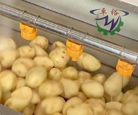 Laveuse industrielle à rouleaux pour fruits et légumes – Machine de lavage et de nettoyage efficace pour pommes de terre, taro, carottes, radis, gingembre