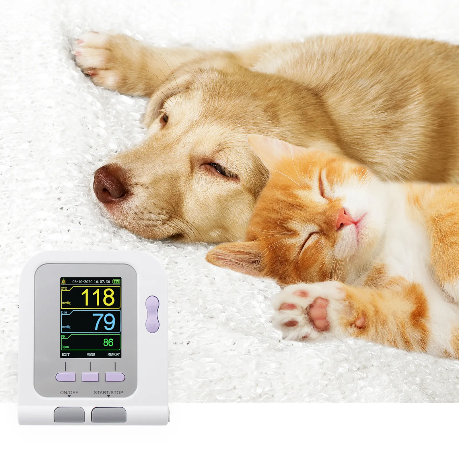 CONTEC08A-Vet animale Digitale della macchina bp monitor di pressione sanguigna/vet sfigmomanometro