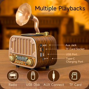 Sai Jia mg006 đài phát thanh du lịch cổ điển với AM/FM/SW Bands-Ổ đĩa USB & Hỗ trợ thẻ TF, máy nghe nhạc âm thanh di động - Product Image 3