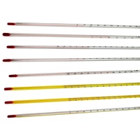 Thermomètres à eau en gros certifiés à l'alcool, avec liquide rouge et tige en verre, pour impression, cuisson et peinture, fonctionnalités 0-100