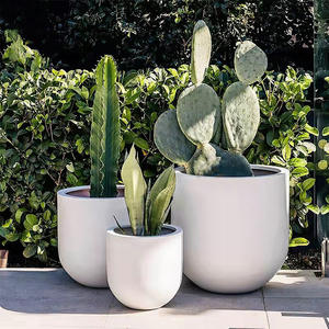 Pots à fleurs en <span class=keywords><strong>fibre</strong></span> <span class=keywords><strong>de</strong></span> <span class=keywords><strong>verre</strong></span> décoratifs légers et résistants au design moderne, <span class=keywords><strong>prix</strong></span> d'usine, jardin à domicile, peints - Product Image 5