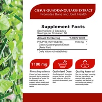 Supply 500mg Cissus Quadrangularis Capsule d'extrait Suppléments à base de plantes Cissus Quadrangularis L Cissus Quadrangularis Capsule