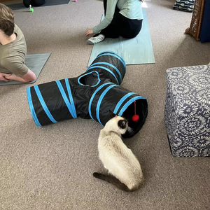 Jouet tunnel pliable à 3 voies pour chats d'intérieur, tube de jeu interactif pour chatons, chiots et lapins, jouet durable pour animaux domestiques/ - Product Image 6