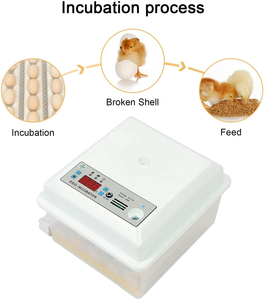 16 pcs tự động gà trứng lồng ấp trứng nở máy để bán với điện kép - Product Image 3