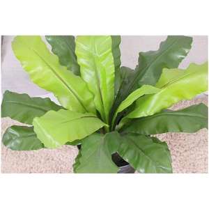 Großhandel Indoor Orchidee Rose Dekor Bulk ODM/OEM Künstliche <span class=keywords><strong>Petunia</strong></span> Weiße Blumen Große grüne künstliche Bäume für den Werbe gebrauch - Product Image 2