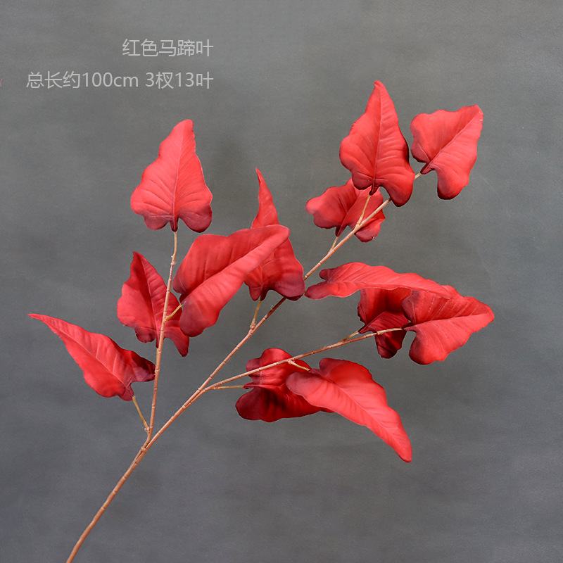 A Red Horseshoe Leaf