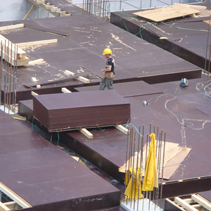 18mm Black Film Laminated Russian Birch <strong>Marine</strong> Plywood Boards - Product Image 6
