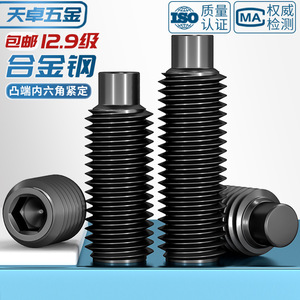 Tianzhuo Hardware M3 M16 Convex End Set Screw 12.9 Grade Hex Socket Head Cap Screw Metric Thread Insert Black Oxide Finish - Product Image 4