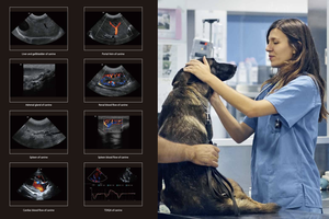 Sistema de Ultrasonido Veterinario Portátil Mindray Vetus E7, Ultrasonido Doppler Color PW CW para Uso Animal - Product Image 6