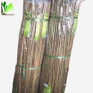 Canne droite naturelle en <span class=keywords><strong>bambou</strong></span> avec manche rond, écologique, origine Fujian, marque Toulong, pour l'agriculture, le jardinage et les vergers - Product Image 2