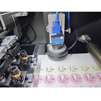 Máquina troqueladora digital de alta velocidad VICUT de 10 m/min con control servo, 6 cabezales de corte y motor para producción de alto volumen