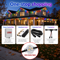 Guirlande lumineuse à points LED pour extérieur, décoration de maison, étanche IP68, 12V 24V 36V, source de lumière ponctuelle
