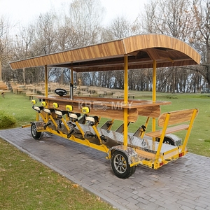 Vélo-bar à pédale à vitesse unique pour loisirs et visites, bar mobile, pour fêtes de bière, événements adultes et mariages, en alliage d'aluminium, personnalisable, pour la ville - Product Image 5