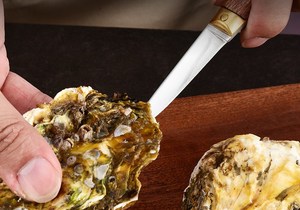 Manjia มีดสแตนเลสคุณภาพสูงที่เปิดด้ามไม้สำหรับอาหารทะเลเช่น<span class=keywords><strong>กุ้ง</strong></span>ล็อบสเตอร์หอยนางรม - Product Image 4