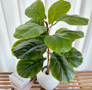 Longstar calda vendita solitaria pianta di Banana Bonsai-foglia artificiale fico per l'arredamento della casa - Product Image 4
