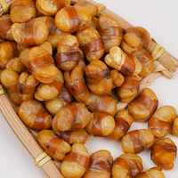 Collations uniques de fèves cuites au four haut de gamme aux haricots salés croustillants avec une saveur riche, idéales pour les moments de loisirs, emballage en vrac dans des sacs