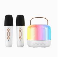 Cadeau d'entreprise promotionnel, solaire portable, alimenté par DC 6, pour haut-parleur V2.0, autonomie de la batterie de 15 à 20 heures, LED RVB, support de téléphone, radio FM