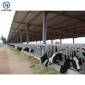 Establo para Ovejas y Aves de Corral de Bajo Costo en Pakistán, Estructura de Acero, Establo para Vacas Lecheras - Product Image 1