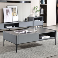 Meuble TV et Table Basse Minimalistes Modernes, Combinaison Luxe Léger, Mobilier Multifonctionnel de Petite Taille pour Salon d'Hôtel et Maison