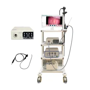 Système de caméra endoscopique à portée flexible portable de haute qualité pour usage vétérinaire