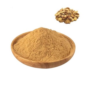 <span class=keywords><strong>Divaricate</strong></span> <span class=keywords><strong>saposhnikovia</strong></span> gốc chiết xuất 20:1 Radix saposhnikoviae chiết xuất powder10: 1 Radix saposhnikoviae chiết xuất - Product Image 3