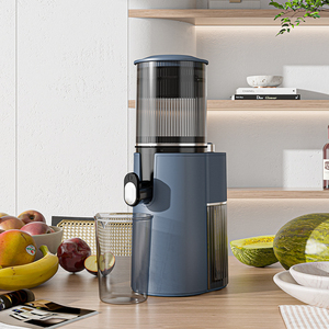 Hiệu suất cao 250 Wát năng suất cao chuyên nghiệp <span class=keywords><strong>Orange</strong></span> citrus chậm Masticating Máy ép trái cây máy thương mại Báo Chí lạnh máy ép trái cây - Product Image 2