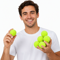 Lot de 6 balles de tennis d'entraînement certifiées ITF - Matériau en caoutchouc à haute élasticité, jouet pour animaux de compagnie