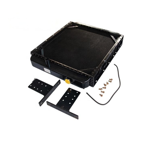 Filtro de Combustible de Fábrica 4110003073003 60100008289 612600081294 5651155 para Cargadora de Ruedas de Construcción - Product Image 5