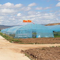 Grande serre à arche double couche en PE pour légumes, avec une transmission lumineuse élevée