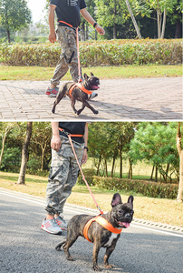 Filo multifunzione in Nylon per animali domestici corda da corsa per esterni corda per guinzagli per cani - Product Image 6