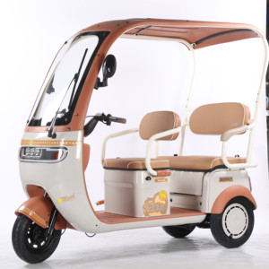 <span class=keywords><strong>Scooter</strong></span> <span class=keywords><strong>électrique</strong></span> à pédales à <span class=keywords><strong>3</strong></span> <span class=keywords><strong>roues</strong></span>, 60V, <span class=keywords><strong>3</strong></span> vitesses, pas cher et beau, tricycle pour 2 adultes, siège passager, <span class=keywords><strong>toit</strong></span> de maison - Product Image 2