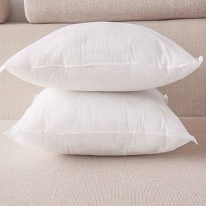 Custom Shape All Size Lightweight Soft Polyester Decorative Couch <b>Cushion</b> Throw Pillow <b>Insert</b> - Product Image 5