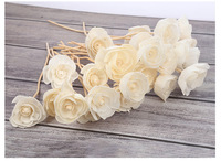 Tout Sola Diffuseur Bois Fleurs Anches Diffuseur Bulk Sola Fleur avec Câble Métallique