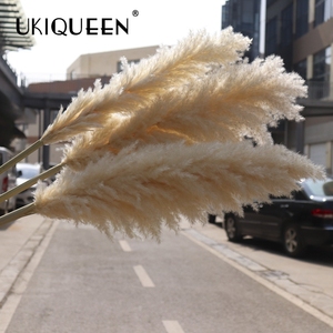 Pampas Grandes, Esponjosas, Pequeñas, Beige, Decoración para el Hogar y Bodas, 45-120 cm, Flores Secas Artificiales Naturales, Hierba de Pampas - Product Image 5
