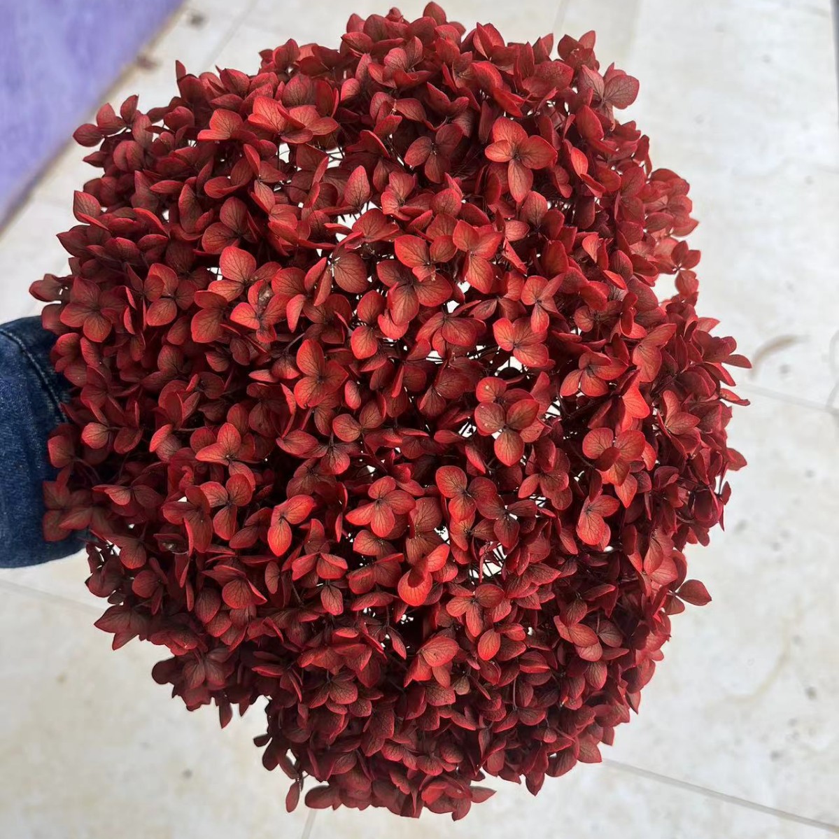 Rojo oscuro