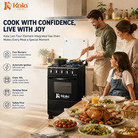 Cuisinière d'extérieur autonome avec four carré 4 feux à gaz, chaudière électrique chauffée, foyer vertical en verre pour usage domestique