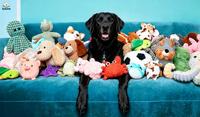 Fabricant de jouets en peluche pour animaux de compagnie, OEM ODM, en gros, sûrs, doux, durables, interactifs, résistants aux morsures, jouets à mâcher pour chiens, certifiés CE