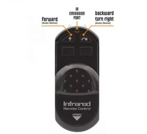 EPT vente en gros Rc <span class=keywords><strong>luciole</strong></span> jouets éducatifs insectes éclairage ver luisant RC animaux scarabée jouets - Product Image 6