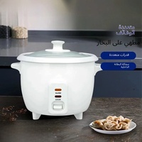 Cuiseur à riz Articles de cuisine électriques Mini cuiseurs à pression commerciale 15 litres Acier inoxydable Multi Purpose Zojirushi