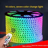 Bande lumineuse LED SMD 5050 2835 à changement de couleur RVB avec télécommande, éclairage décoratif IP65 pour aménagement paysager, 5 m
