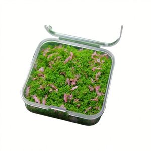 Materiales de árboles de flores en miniatura para manualidades DIY y decoración de paisajes - Product Image 5