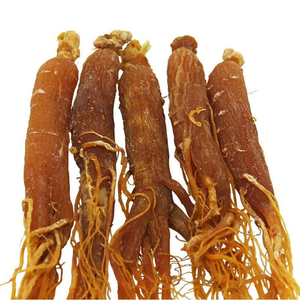 Yüksek kaliteli bitkisel bitki sağlık gıda amerikan <span class=keywords><strong>Ginseng</strong></span> kökü - Product Image 4