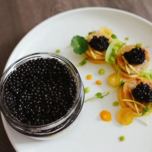 Steur Eieren Steur Vis Kuit Kaviaar Luxe Zeevruchten Ingrediënten Sushi Ingrediënt - Product Image 4