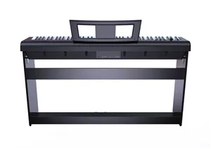 The Hot Sale Digital Mini Piano 210 88 Weighted Keys Keyboard Stylish Black Music Plastic Shell Style Electronic Instrument