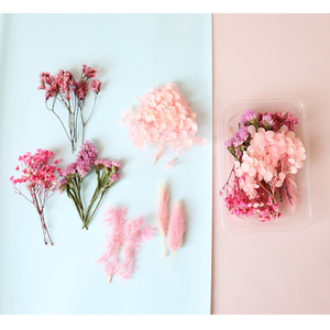 Lot de plantes séchées naturelles pressées (fleurs et feuillage) pour loisirs créatifs, fabrication de savons et décoration de boutiques – Vente en gros - Product Image 2