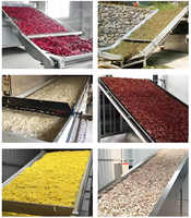 Hotsale Industrielle Abricot Cerise Tunnel Séchoir Fruits Tunnel Séchoir Pruneaux Chambre De Séchage Air Chaud Salle De Séchage pour Champignon