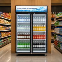 Vitrine Réfrigérée Professionnelle pour Boissons, Porte Vitrée, Armoire Verticale pour Supermarché, Bar, Hôtel