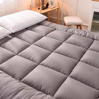 Matelas de sol pliable et portable Tatami, matelas moelleux et respirant, utilisation toutes saisons